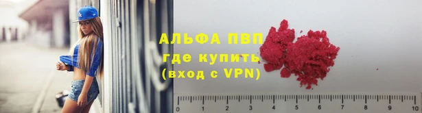мяу мяу мука Арсеньев