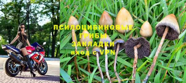 мяу мяу мука Арсеньев