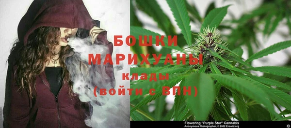 каннабис Аркадак