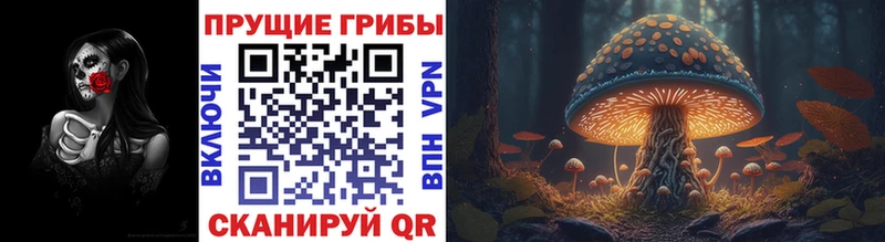 Галлюциногенные грибы прущие грибы Городище